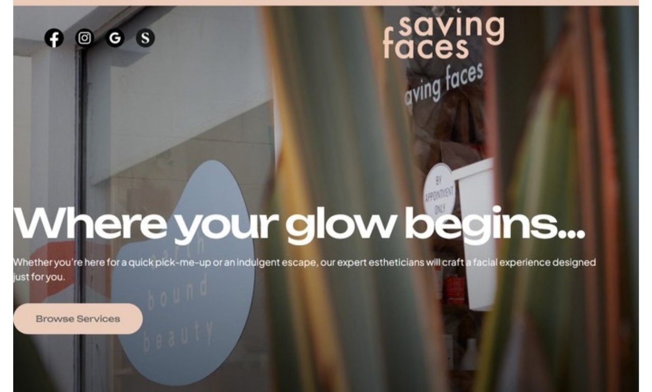 Saving Faces — original website
